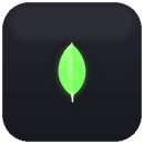 MongoDB logo